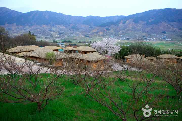 a Background site of Novel 'Land' 