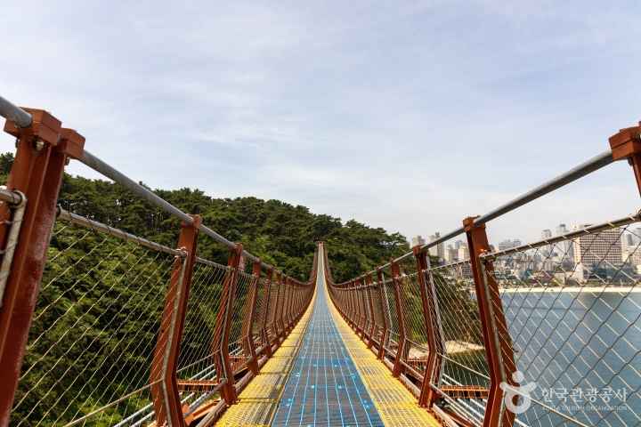 대왕암공원 출렁다리