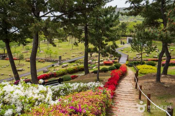 Erosion Control Memorial Park
