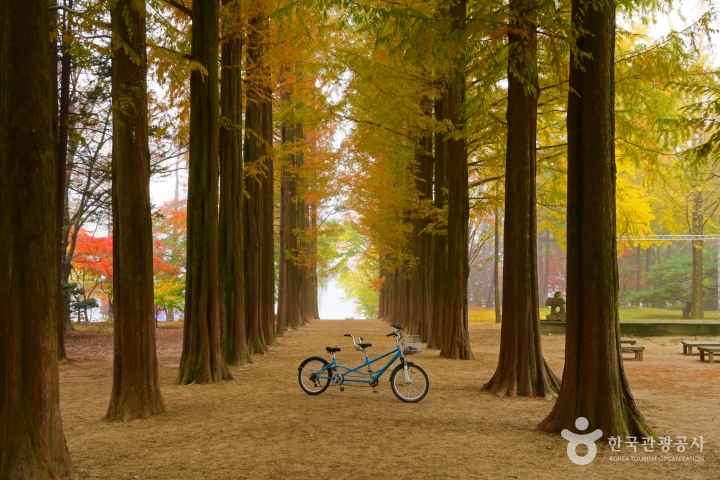 Nami Island