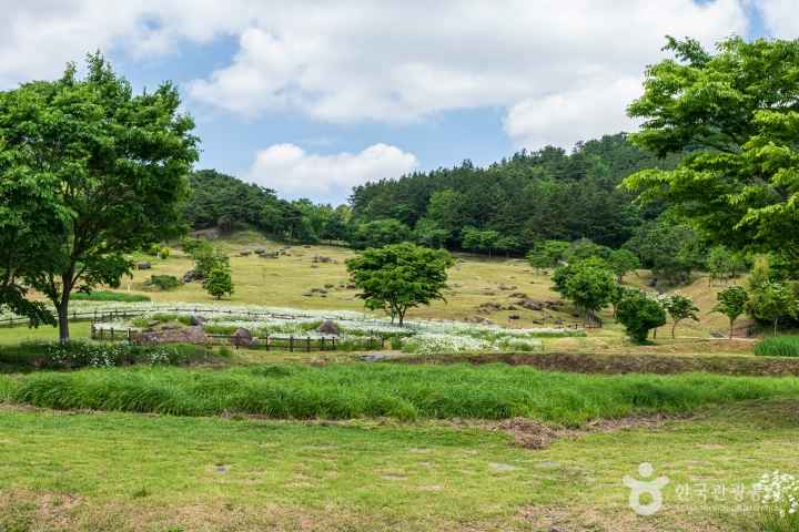 고창 고인돌 유적
