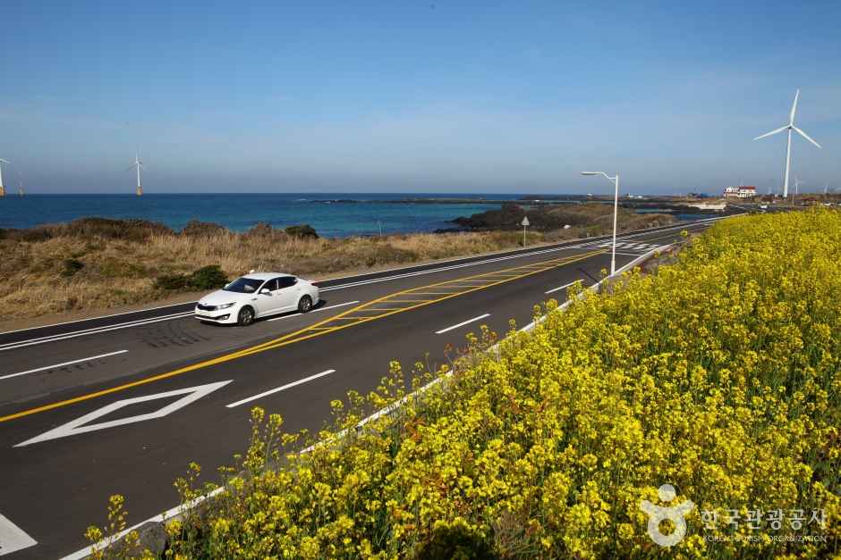 제주도풍력발전기