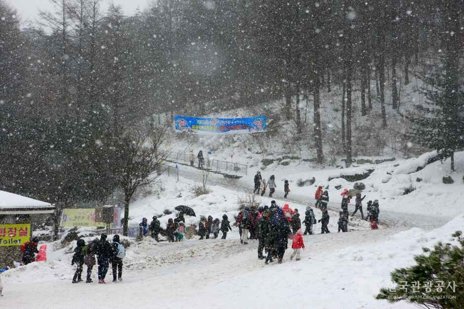 태백산 눈축제