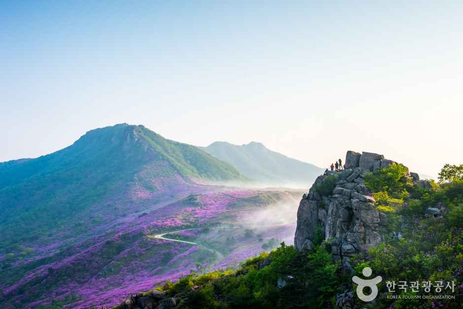 Summit of Hwangmaesan Mountain