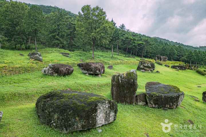 화순 고인돌 유적지