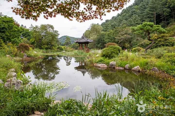 The Garden of Morning Calm