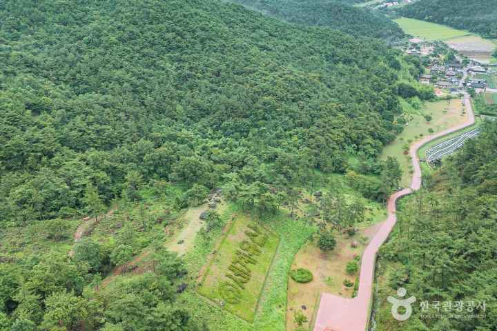 화순 고인돌 유적지
