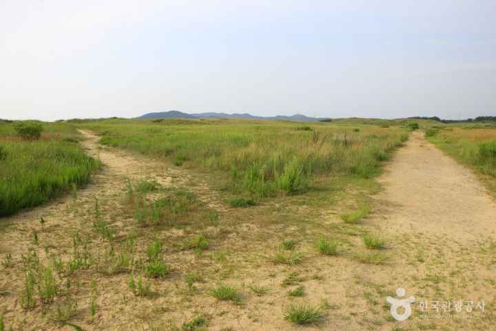Sinduri sand dune 