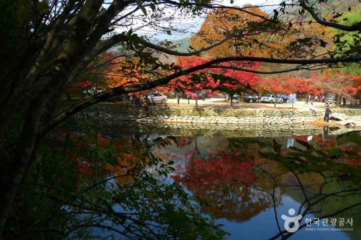 Mt. Naejangsan in Autumn 