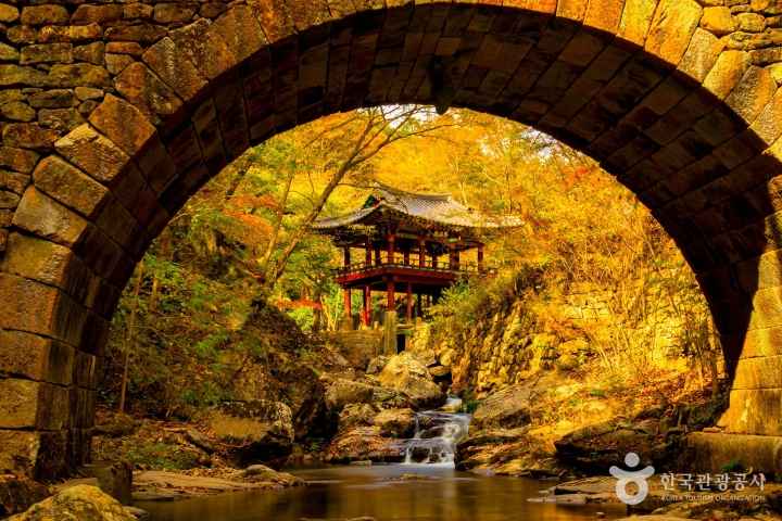 무지개다리 너머엔