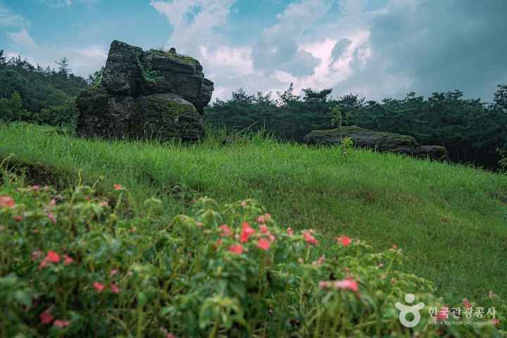 화순 고인돌 유적지