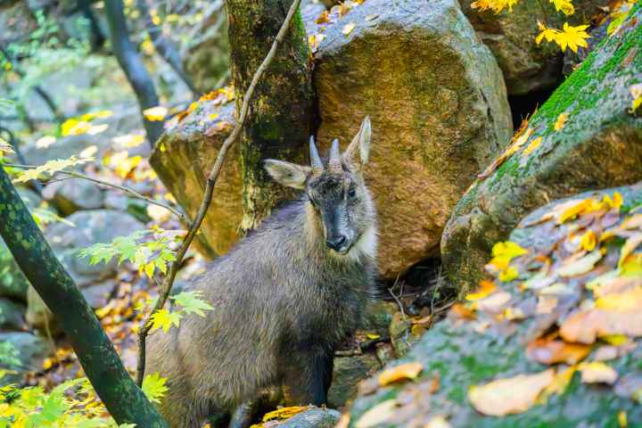 Seoraksan National Park