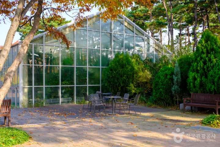 Seonyudo Park