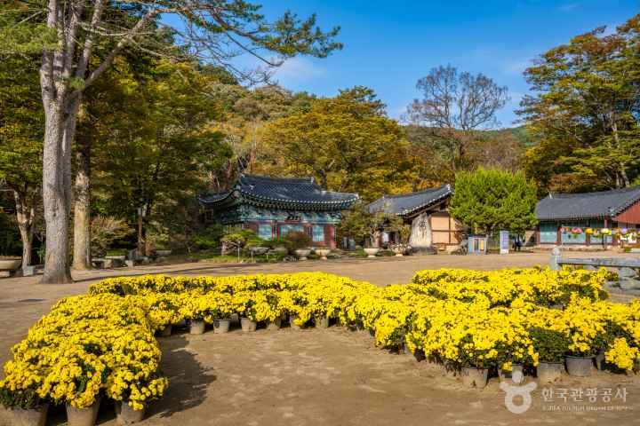 Gongju Magoksa Temple