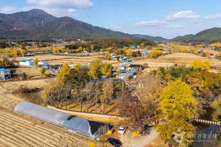 Cheongna Ginkgo Village