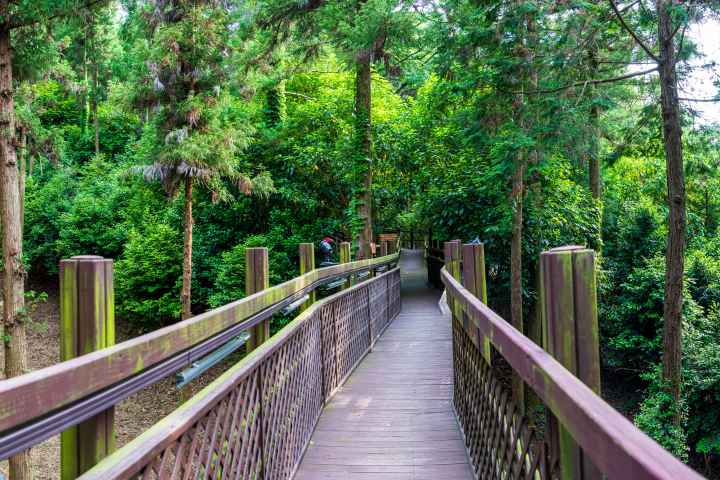 정남진 편백숲 우드랜드