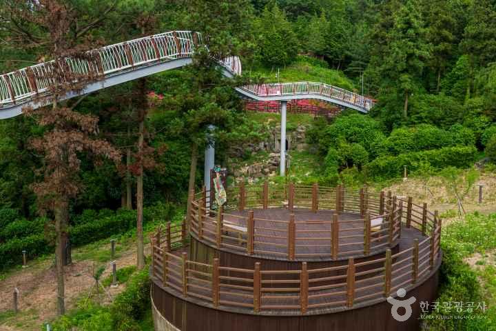 Jeongnamjin Cypress Forest Woodland