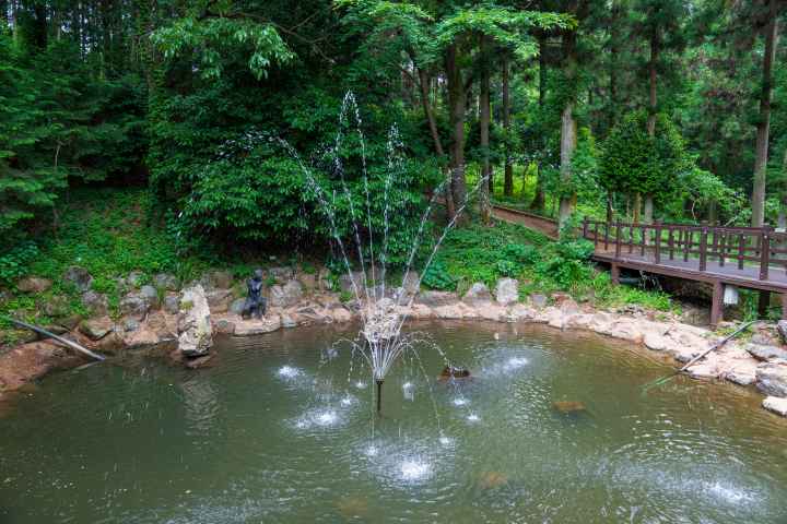 정남진 편백숲 우드랜드