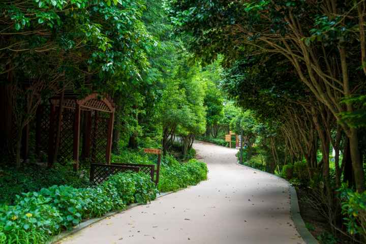 정남진 편백숲 우드랜드