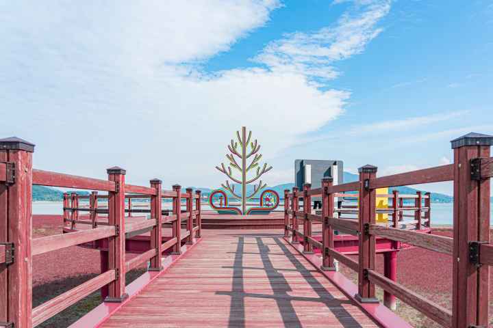 석모도 칠면초 군락지