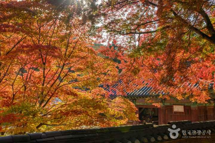Gongju Magoksa Temple