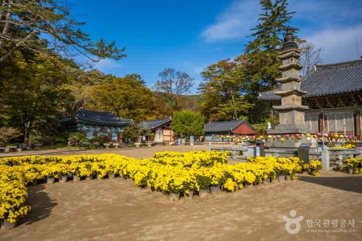 Gongju Magoksa Temple