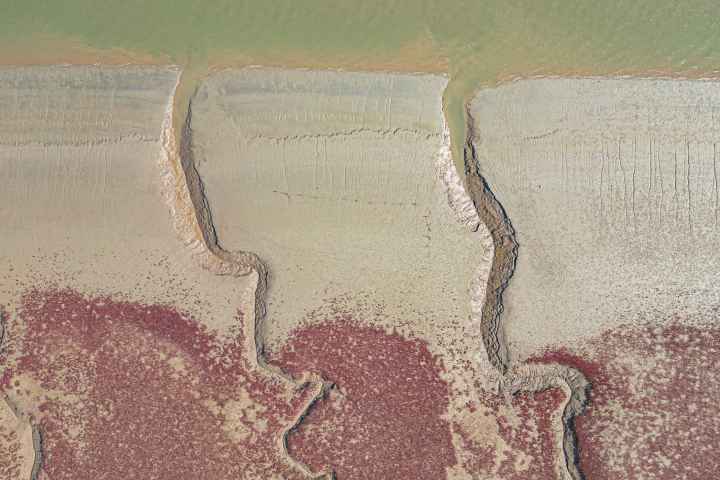 석모도 칠면초 군락지