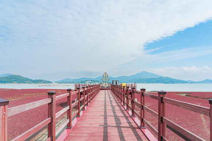 석모도 칠면초 군락지