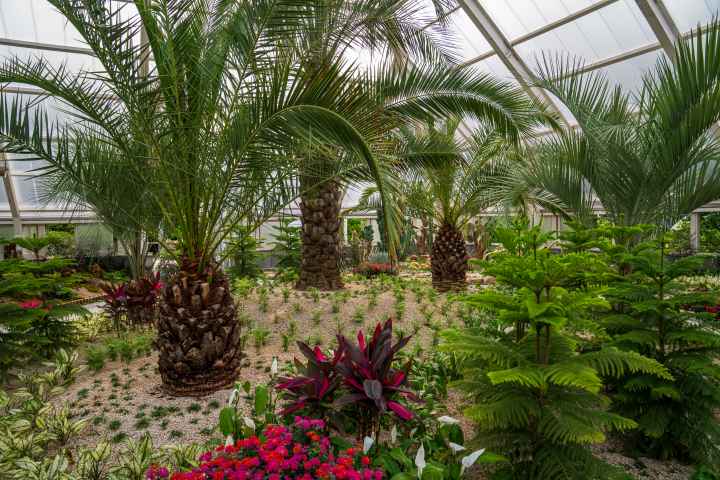 정남진 편백숲 우드랜드