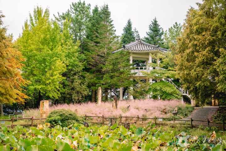 Gyeongsangnam-do Arboretum