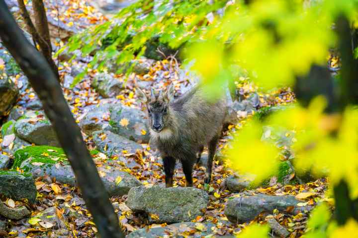 Seoraksan National Park