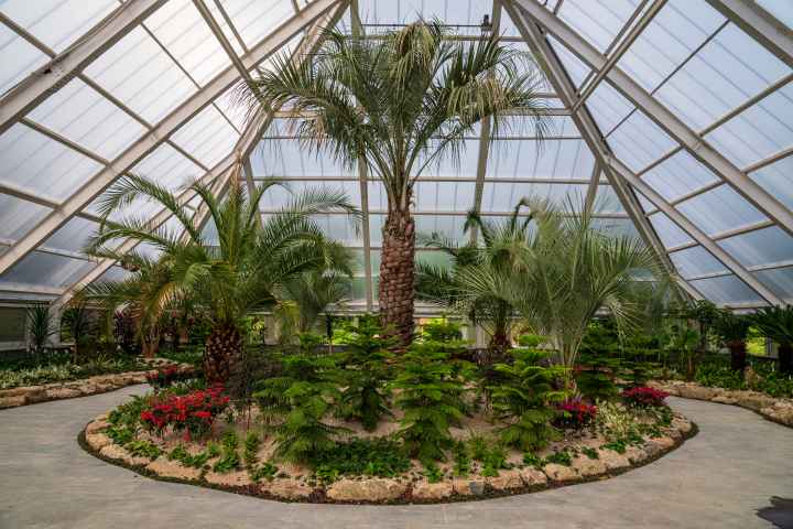 정남진 편백숲 우드랜드