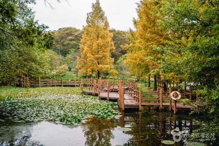 Gyeongsangnam-do Arboretum
