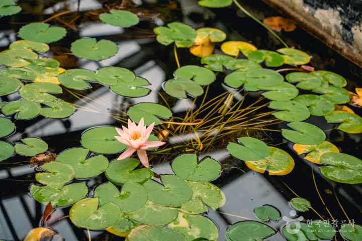 Gyeongsangnam-do Arboretum