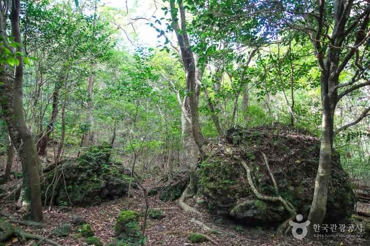 Iseungi Volcanic Cone