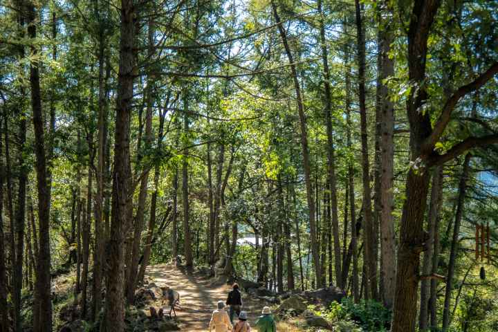 수생식물학습원