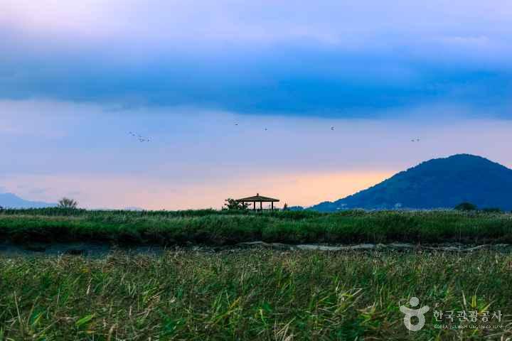 Suncheonman Wetland