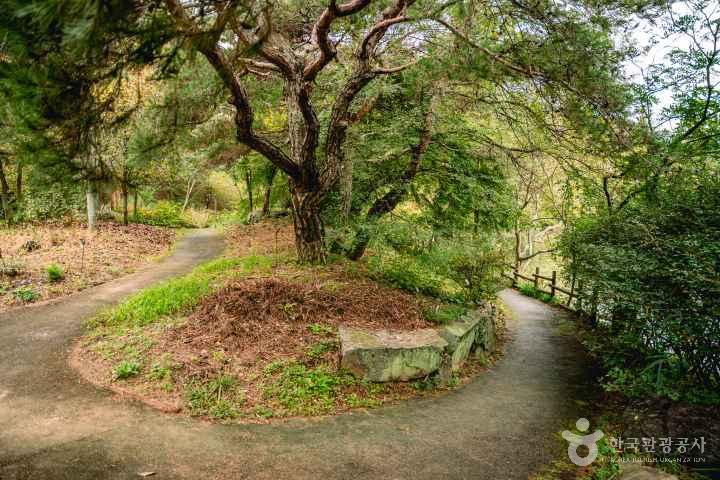 Gyeongsangnam-do Arboretum