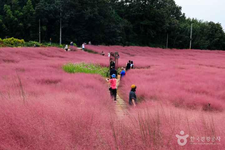 Gochang Blue Farm