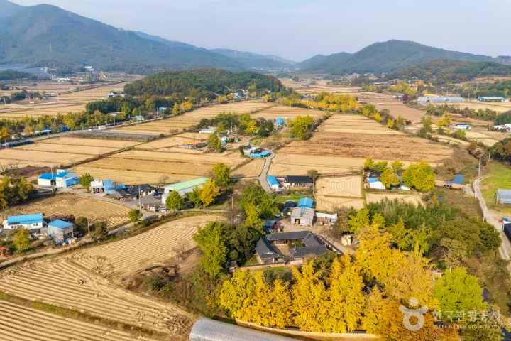 Cheongna Ginkgo Village