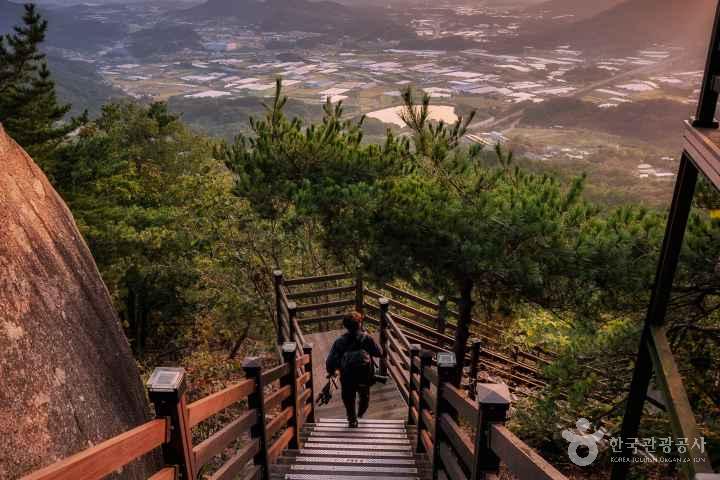 옥천 용암사