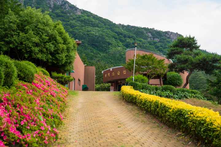 정남진 편백숲 우드랜드