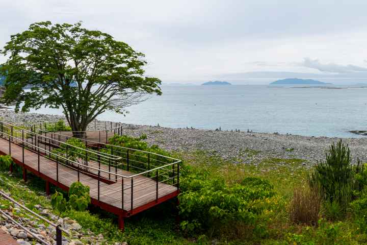 완도 정도리 구계등