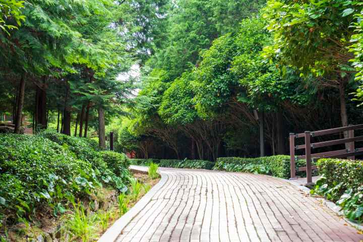 정남진 편백숲 우드랜드