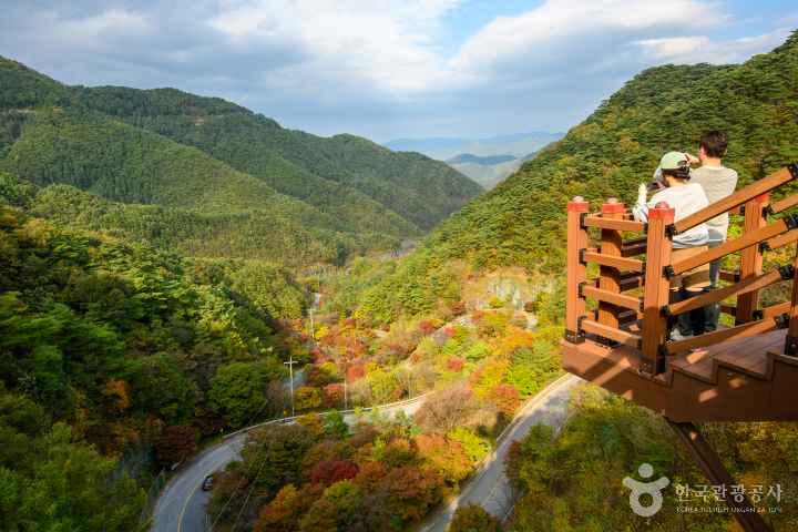 단양 보발재