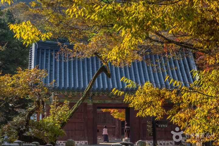 Gongju Magoksa Temple