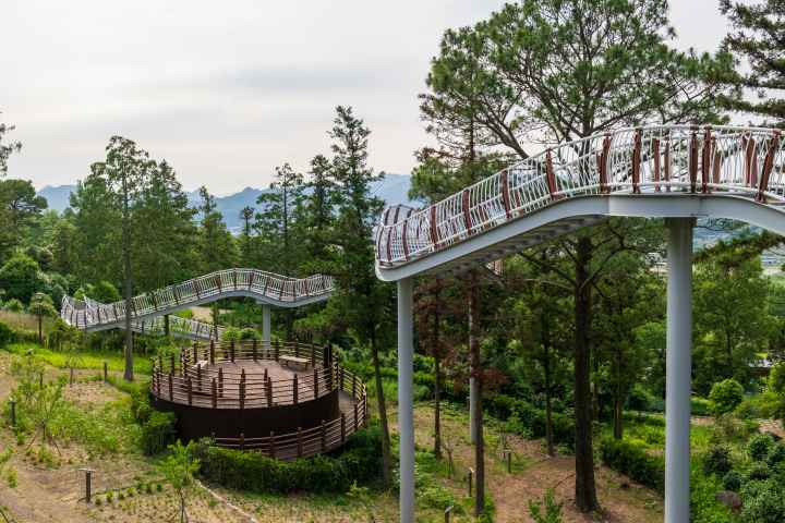 정남진 편백숲 우드랜드