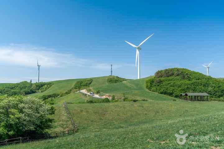 Samyang Roundhill