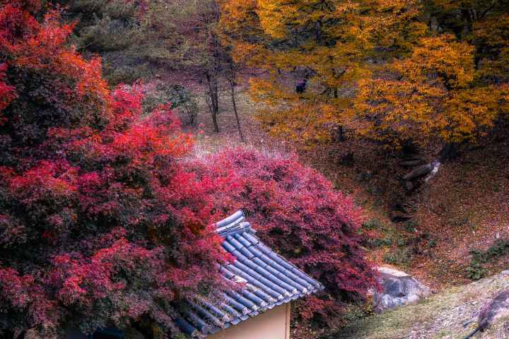 Sejong Biamsa Temple
