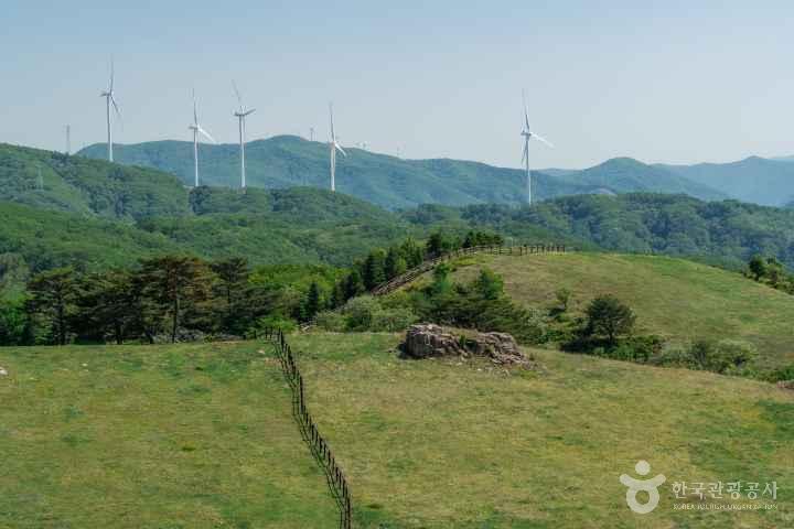 Samyang Roundhill